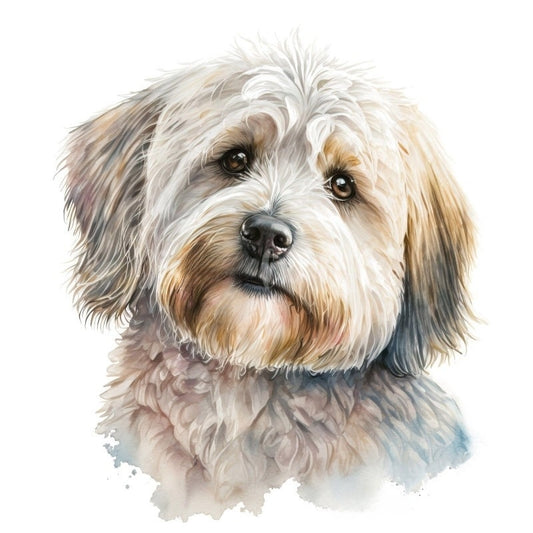 Havanese Dog | Diamond Painting