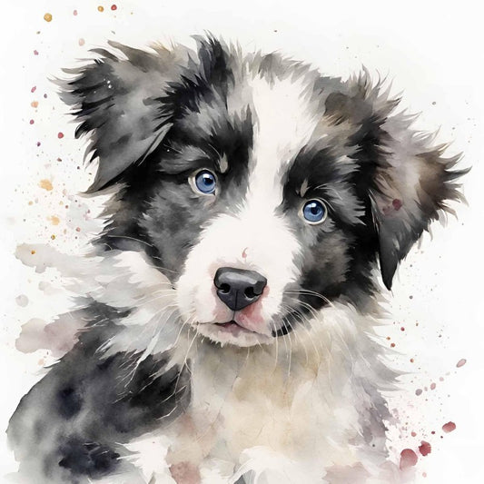 Dog Border Collie | Diamond Painting
