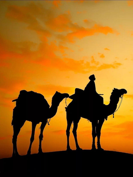 Camel | Diamond Painting