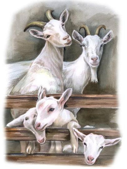 Goat | Diamond Painting