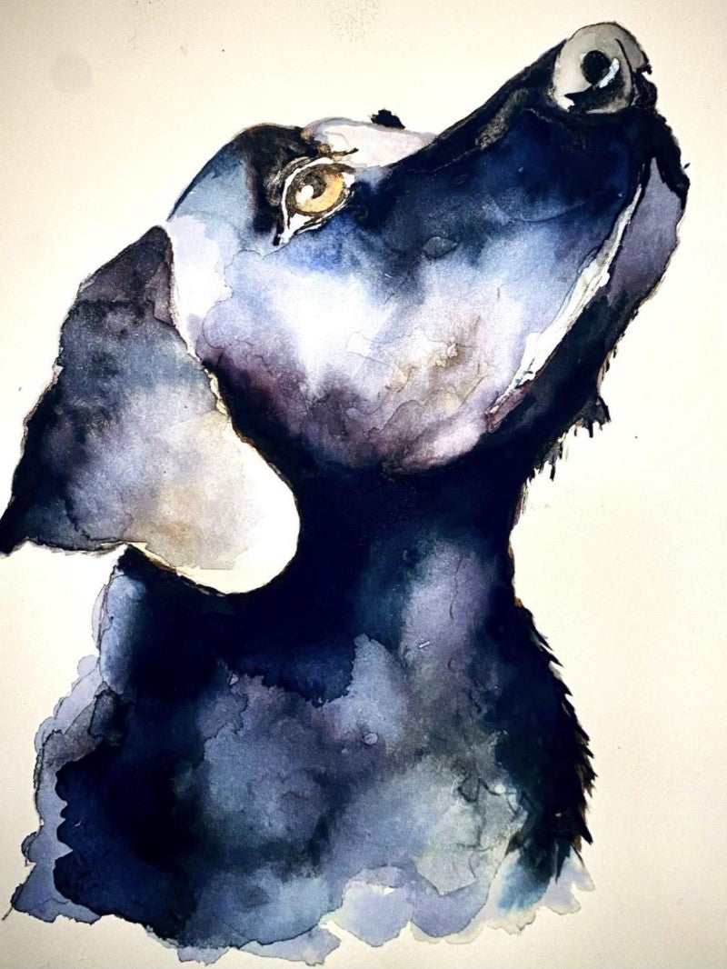 Black Labrador Dog | Diamond Painting