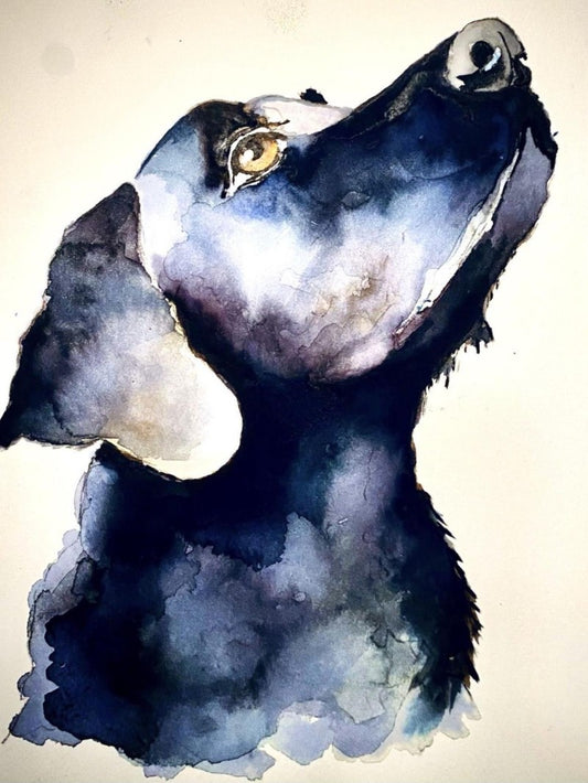 Black Labrador Dog | Diamond Painting