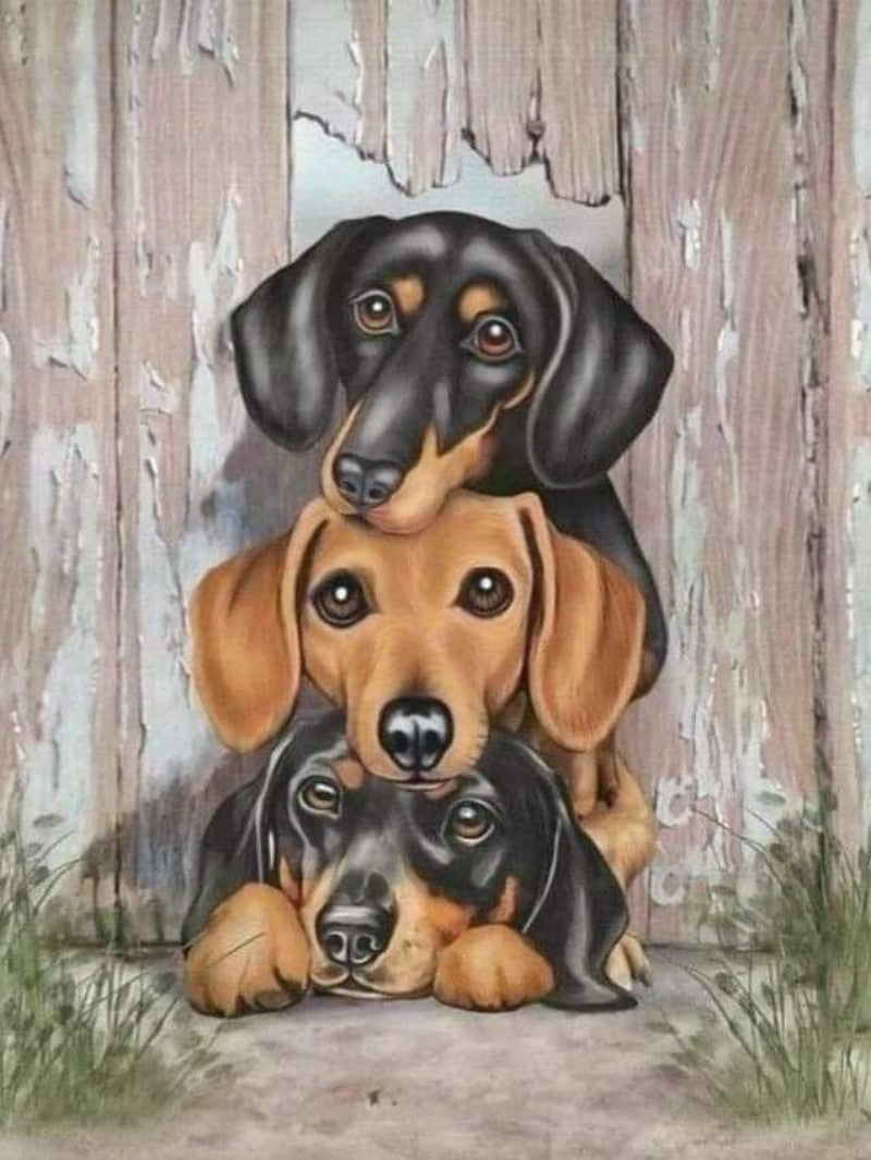 Dachshund Dog | Diamond Painting