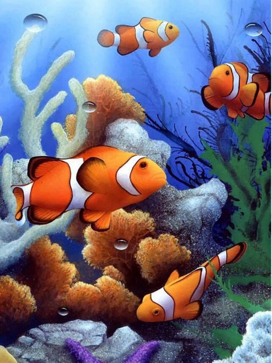 Clown Fish | Diamond Painting