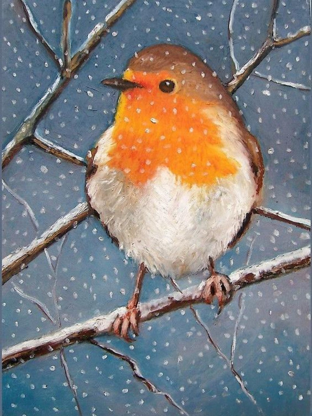 Robin Bird | Diamond Painting