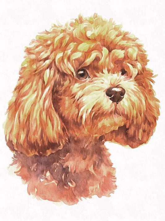 Cavapoo Dog | Diamond Painting