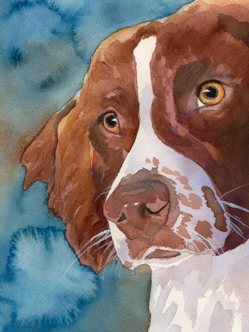 Brittany Spaniel Dog | Diamond Painting