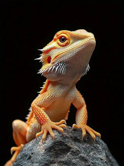 Bearded Dragon | Diamond Painting
