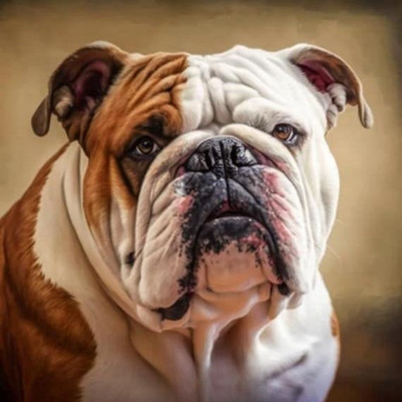 Dog English Bulldog | Diamond Painting