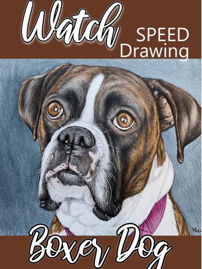 Boxer Dog | Diamond Painting