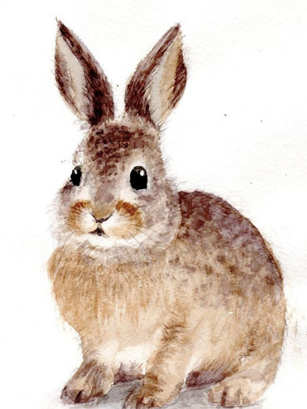 Rabbit | Diamond Painting