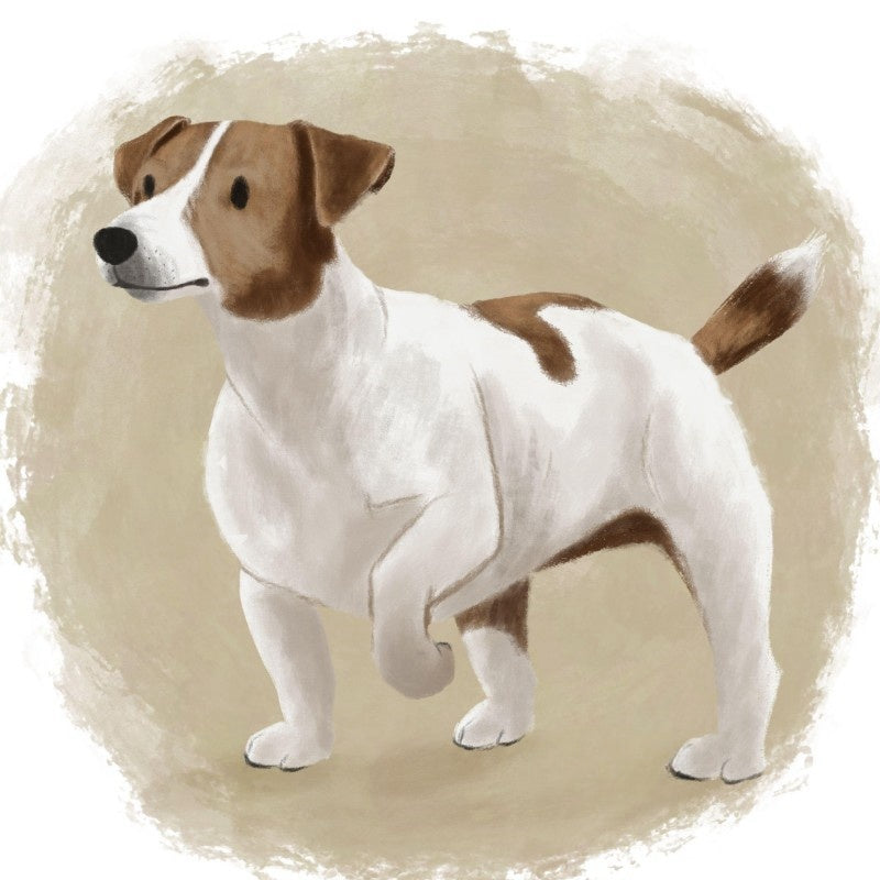 Dog Jack Russell | Diamond Painting