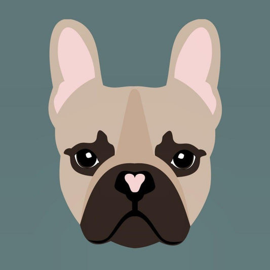 French Bulldog Dog | Diamond Painting