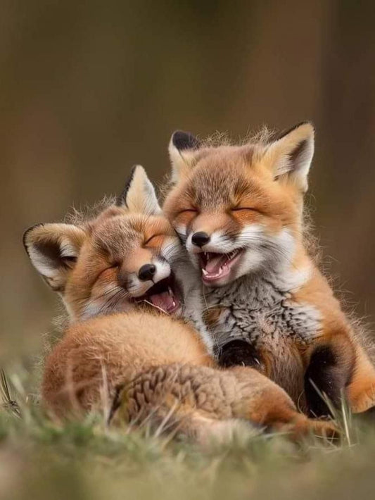 Fox | Diamond Painting