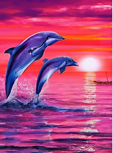 Dolphin | Cross Stitch Embroidery