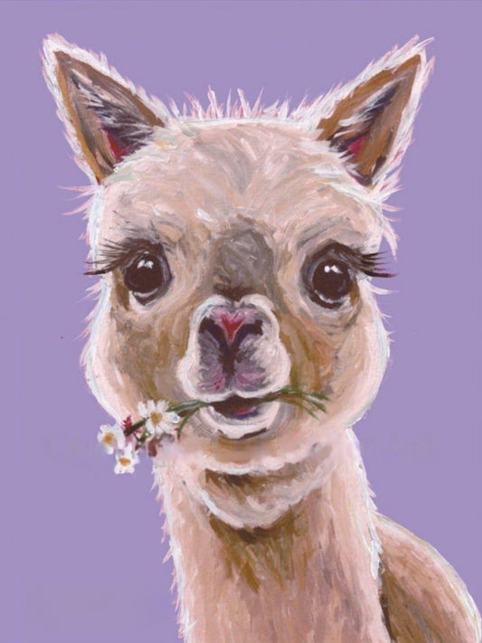 Alpaca | Diamond Painting