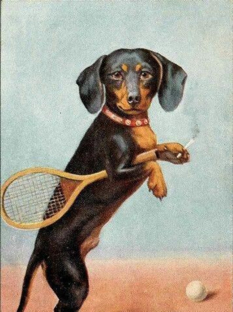 Dachshund Dog | Diamond Painting