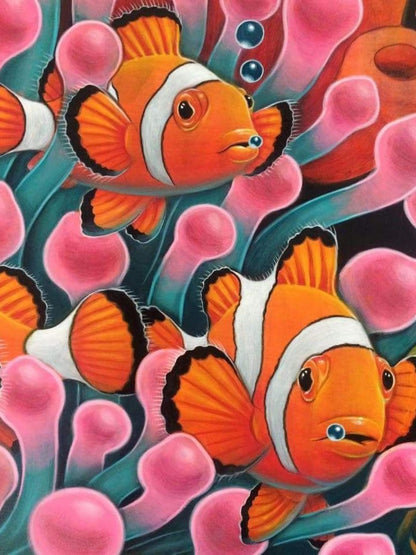 Clown Fish | Diamond Painting