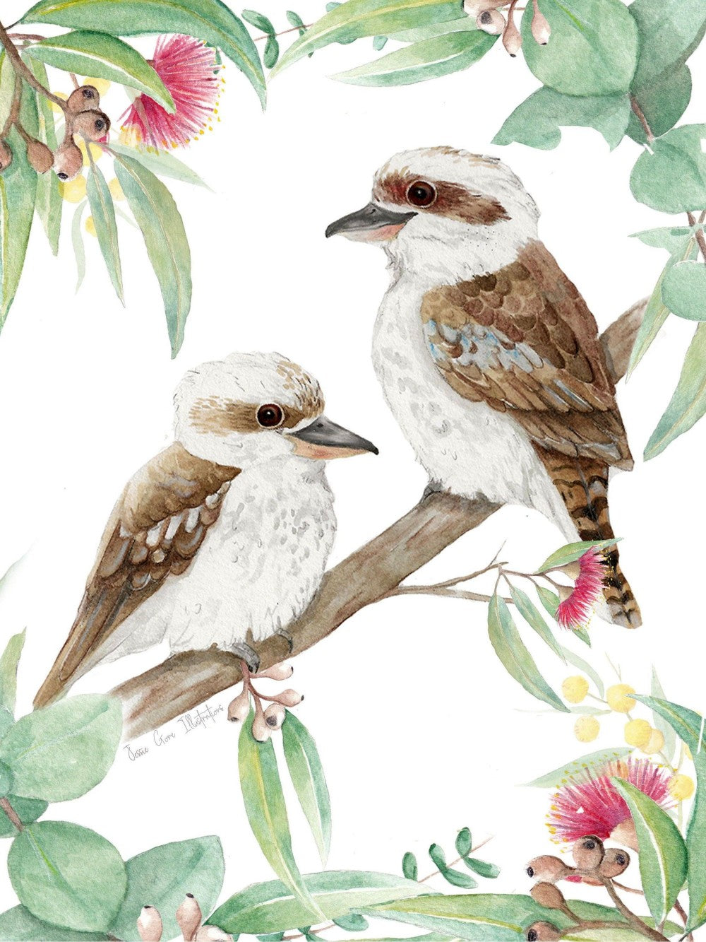 Kookaburra | Diamond Painting