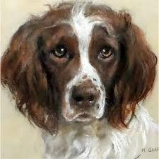 Brittany Spaniel Dog | Diamond Painting
