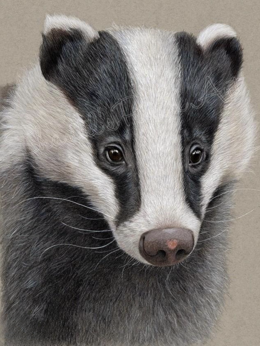 Badger | Diamond Painting