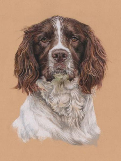 English Springer Spaniel Dog | Diamond Painting