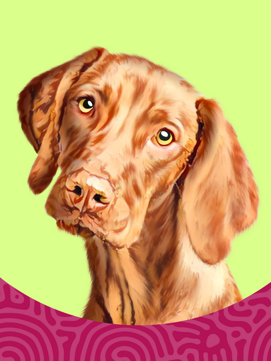 Weimaraner Dog | Diamond Painting