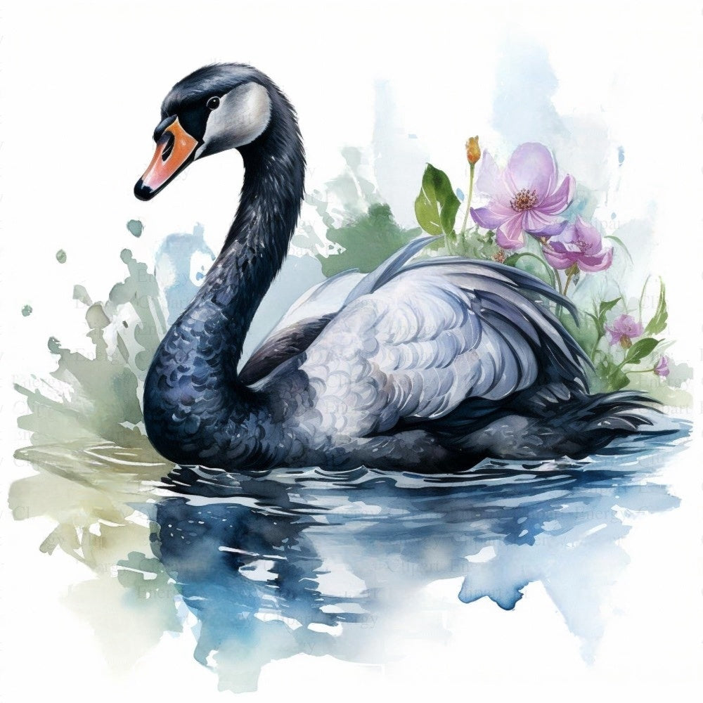 Swan | Diamond Painting