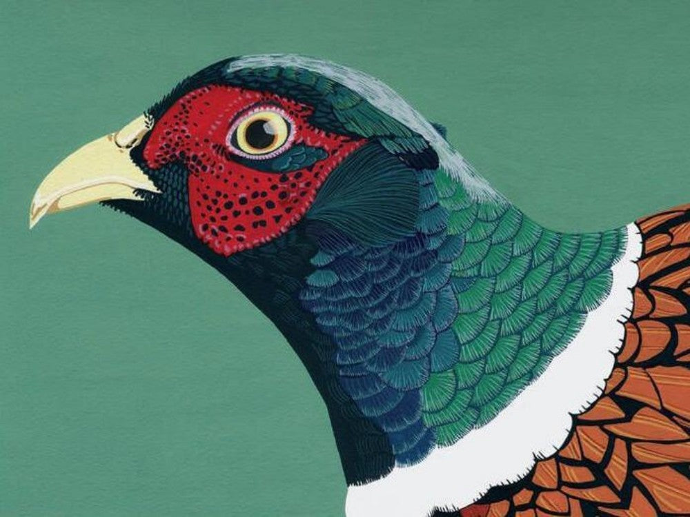 Pheasant | Diamond Painting