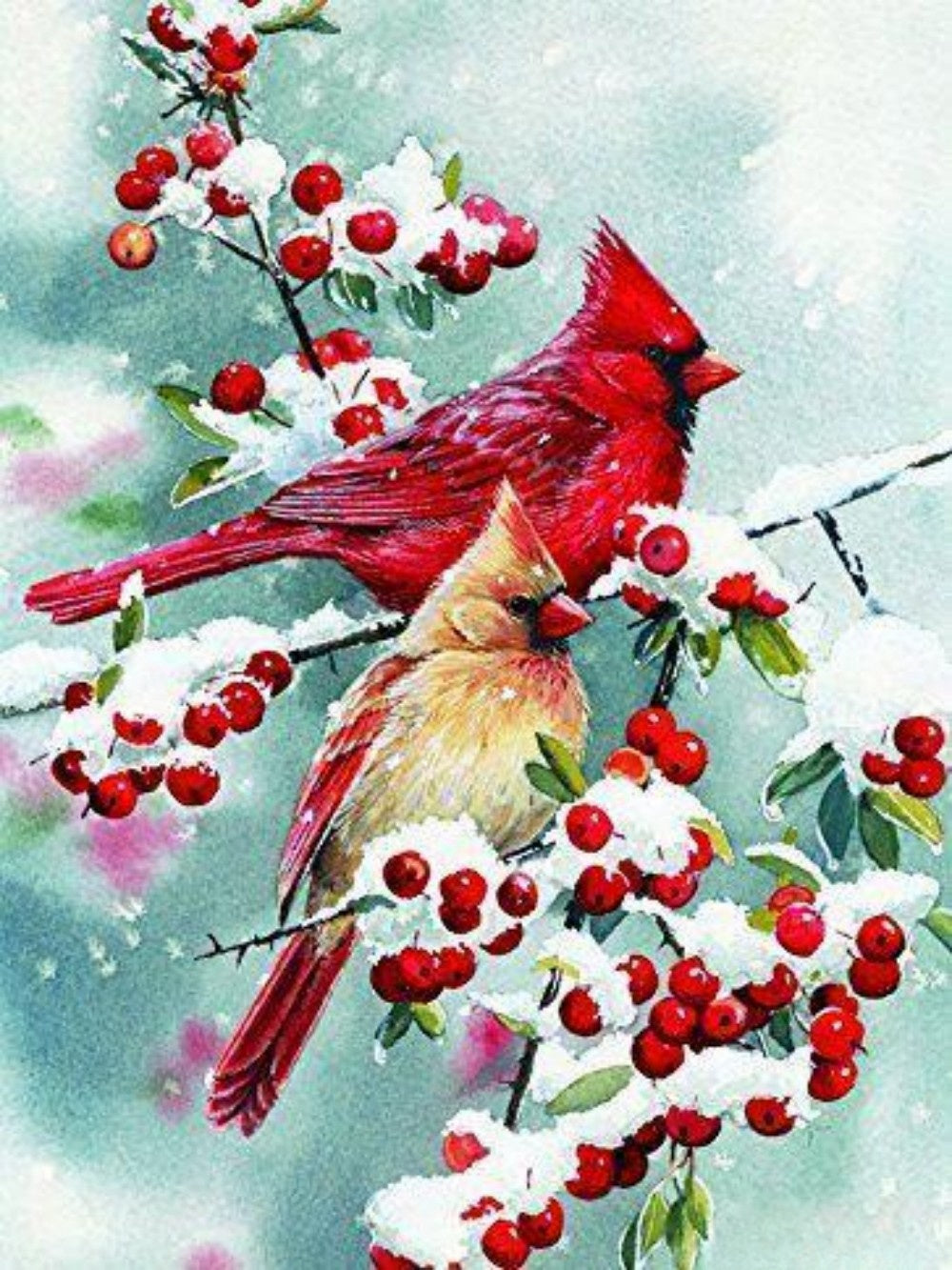 Cardinal | Diamond Painting