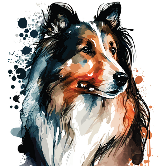 Dog Border Collie | Diamond Painting