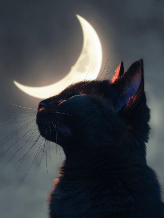 Midnight Cat | Diamond Painting