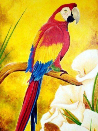 Macaw | Diamond Painting