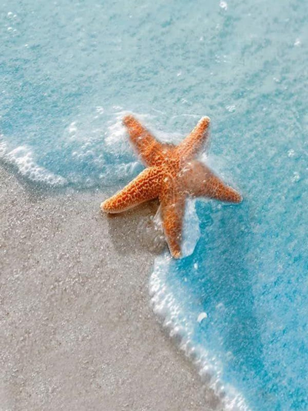 Starfish | Diamond Painting
