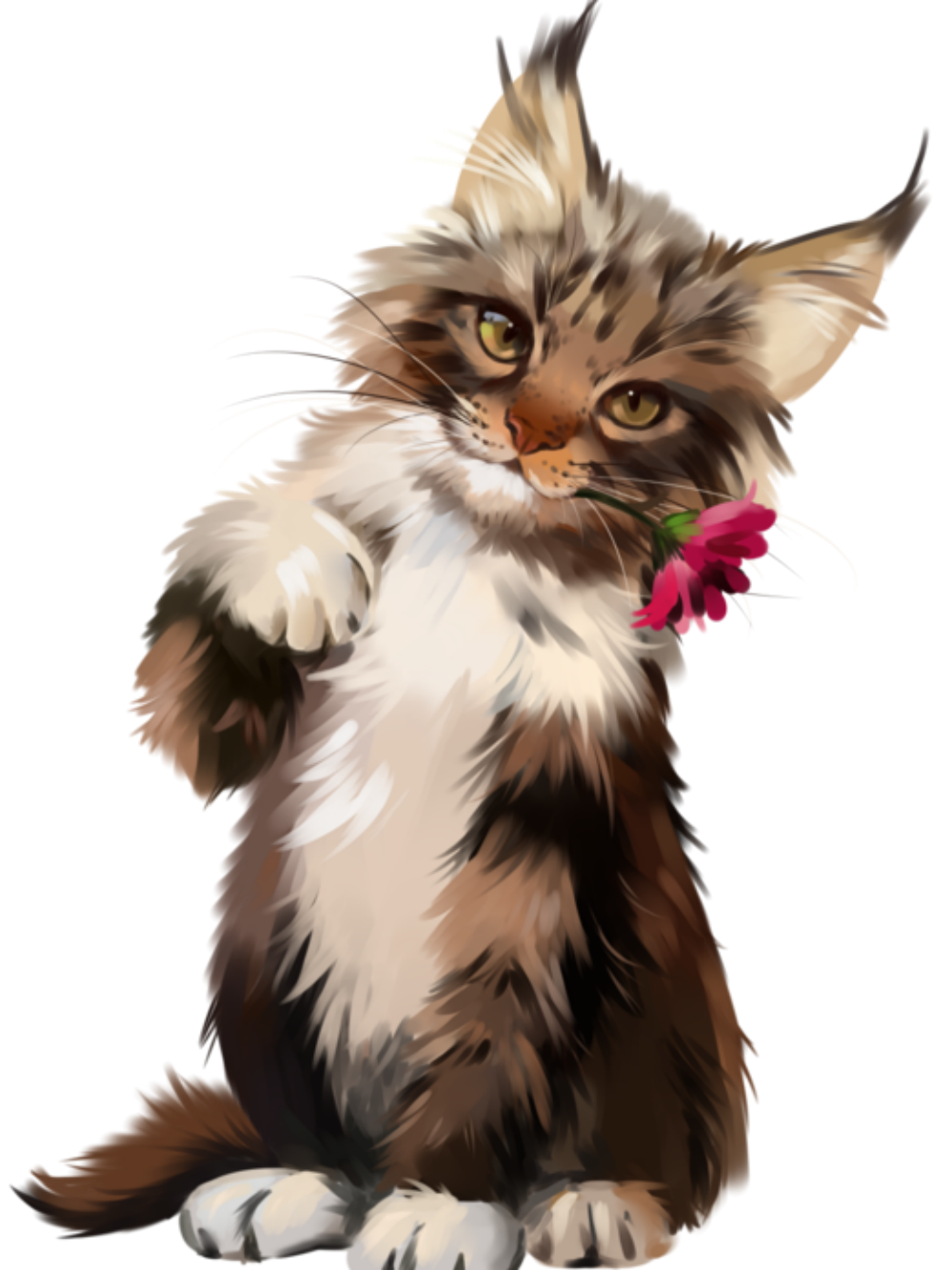 Maine Coon | Diamond Painting