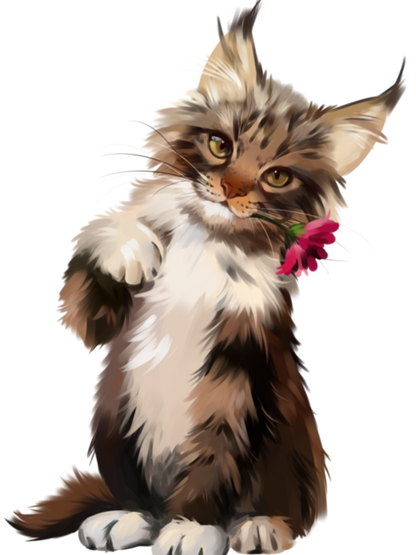 Maine Coon | Diamond Painting