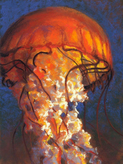 Jellyfish | Diamond Painting