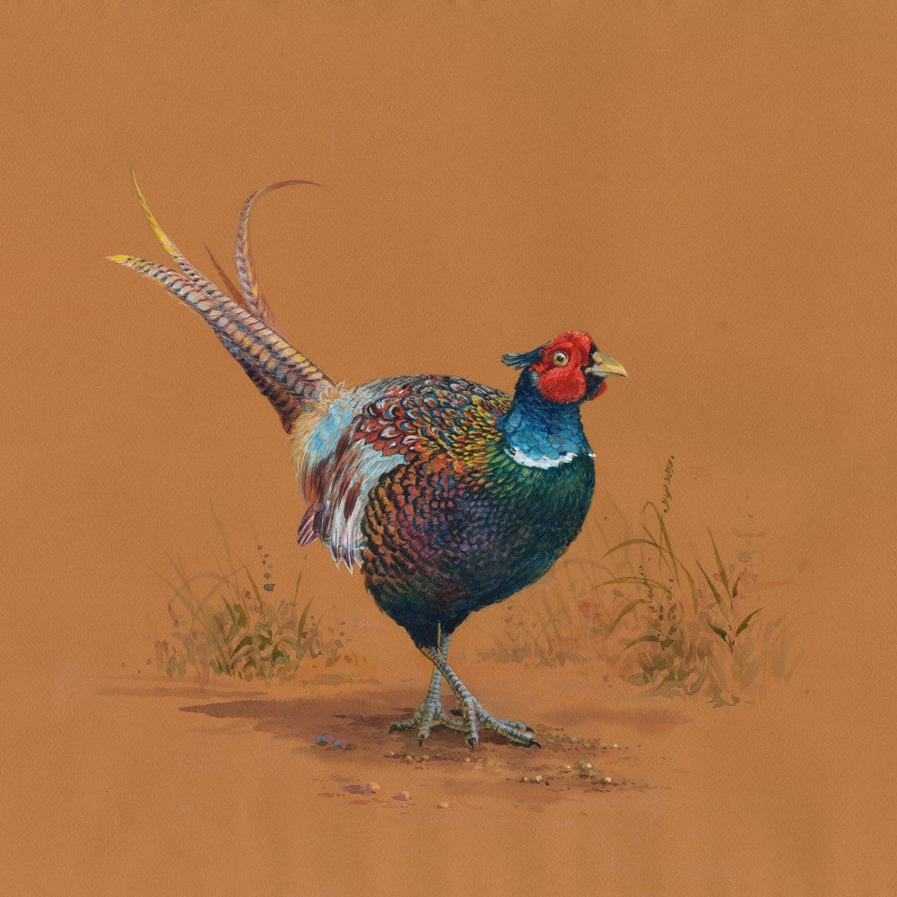 Pheasant | Diamond Painting