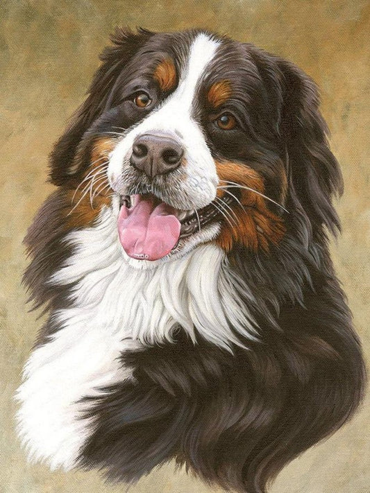 Bernese Mountain Dog | Diamond Painting