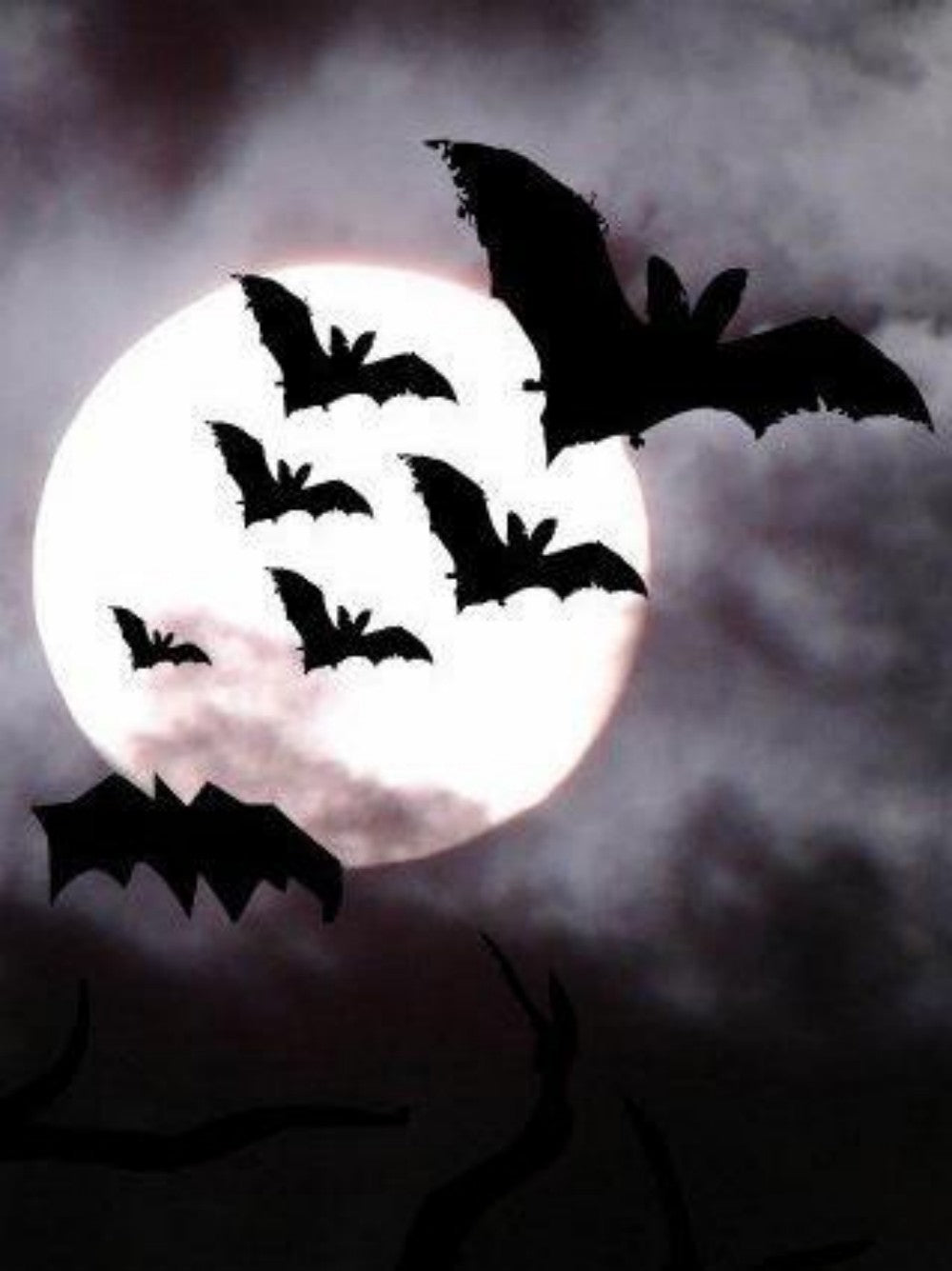 Bat | Diamond Painting
