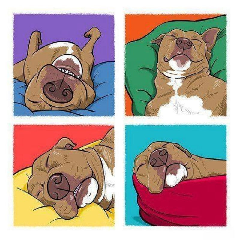 Boxer Dog | Diamond Painting