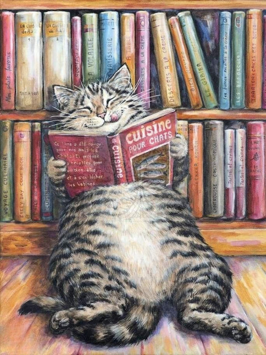 Cat Bookshelf | Diamond Painting