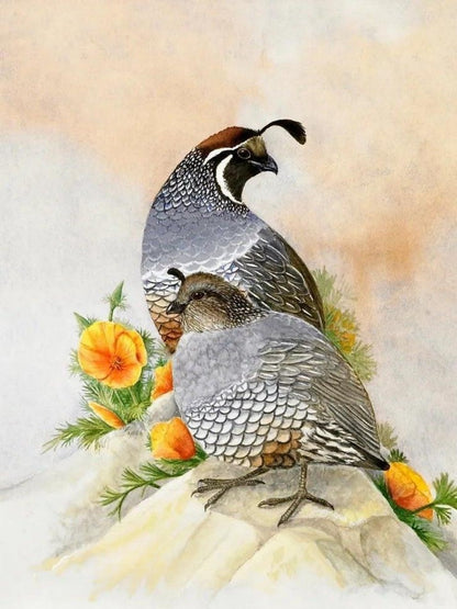 Quail | Diamond Painting