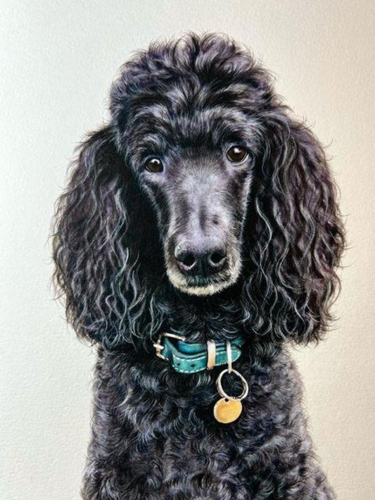 Poodle Dog | Diamond Painting