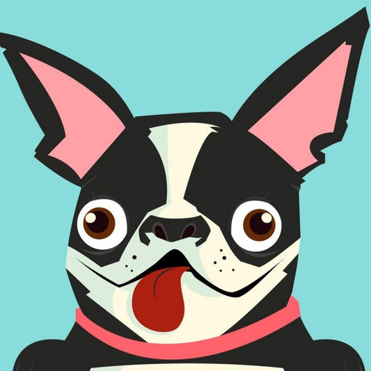 Boston Terrier Dog | Diamond Painting