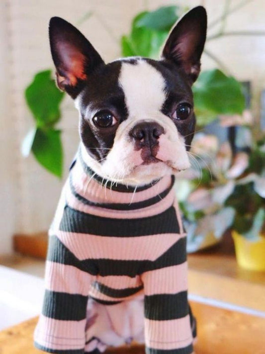 Boston Terrier Dog | Diamond Painting