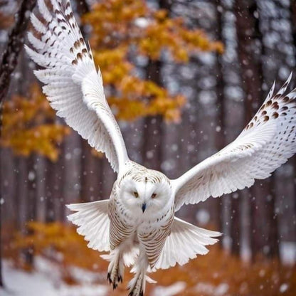 Snowy owl (White Owl) | Diamond Painting