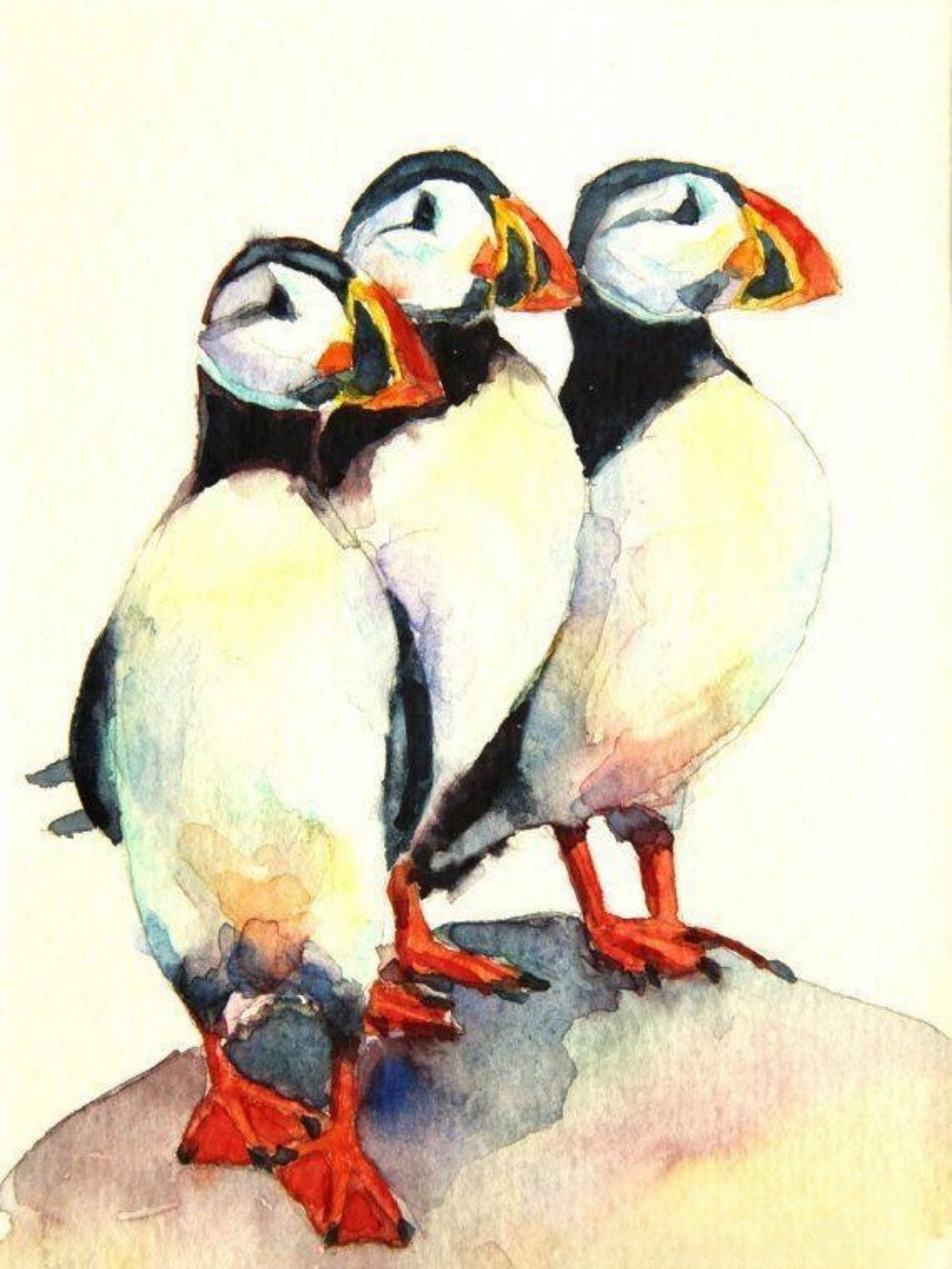 Puffin | Diamond Painting