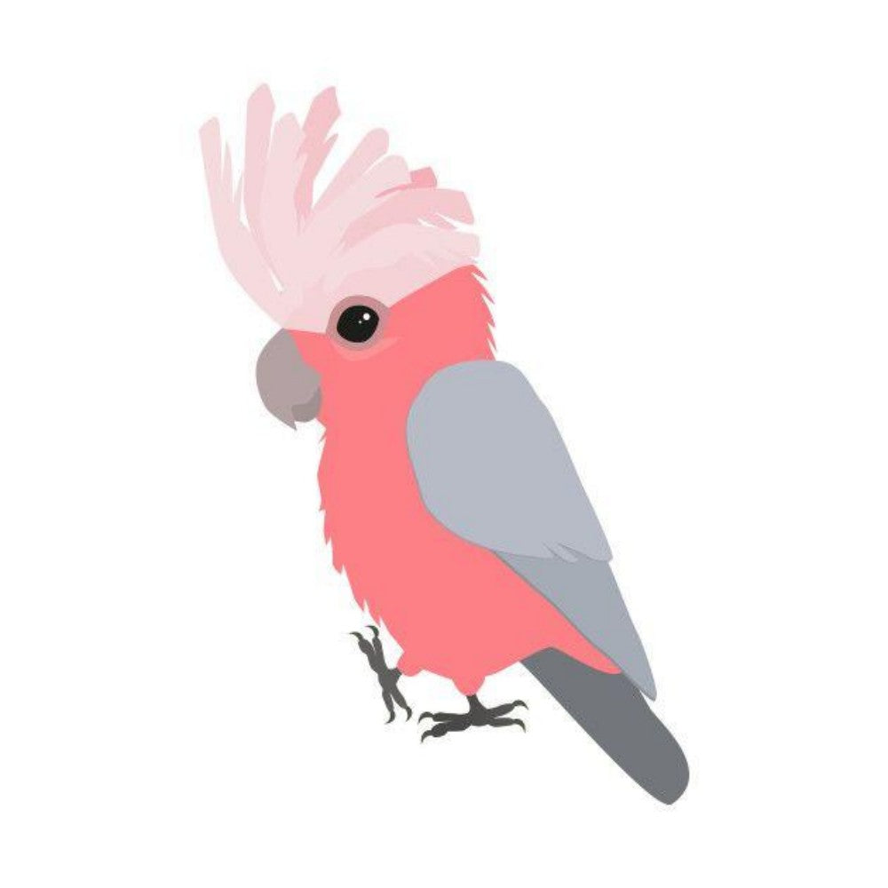 Cockatoo | Diamond Painting