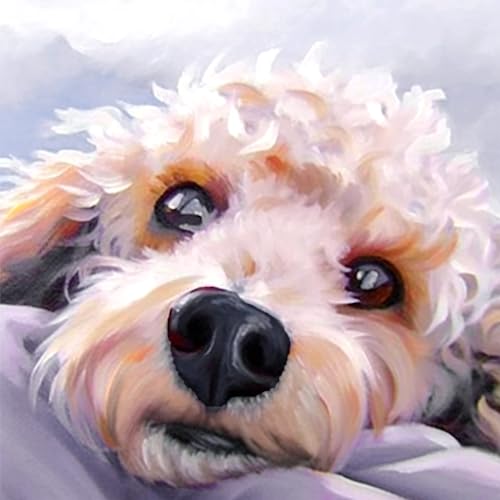 Dog Cockapoo | Cross Stitch Embroidery